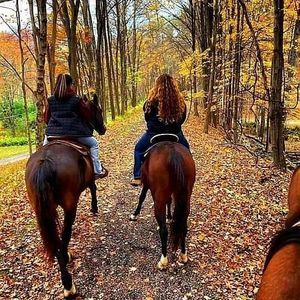 Meet your Posher, Jenn